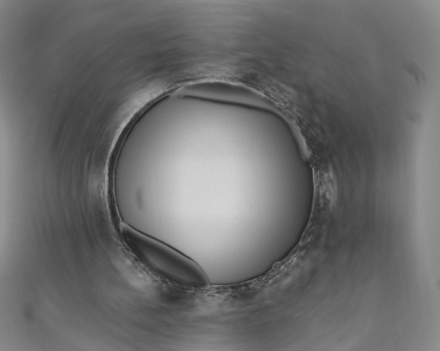 X0000110870148200907021443