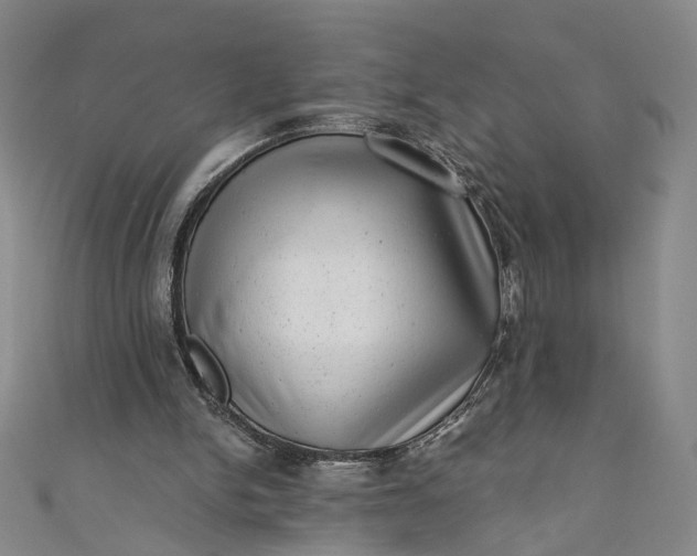 X0000110870150200907021443