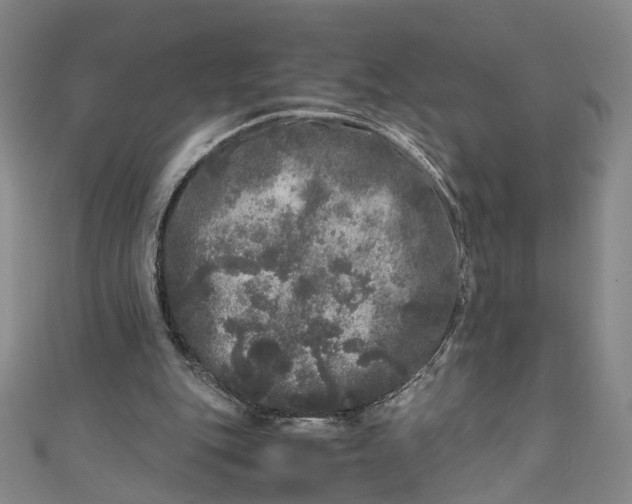 X0000110870151200907021443