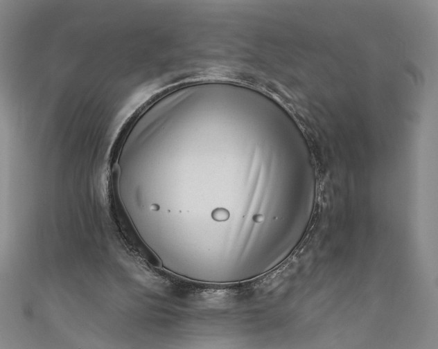 X0000110870152200907021443