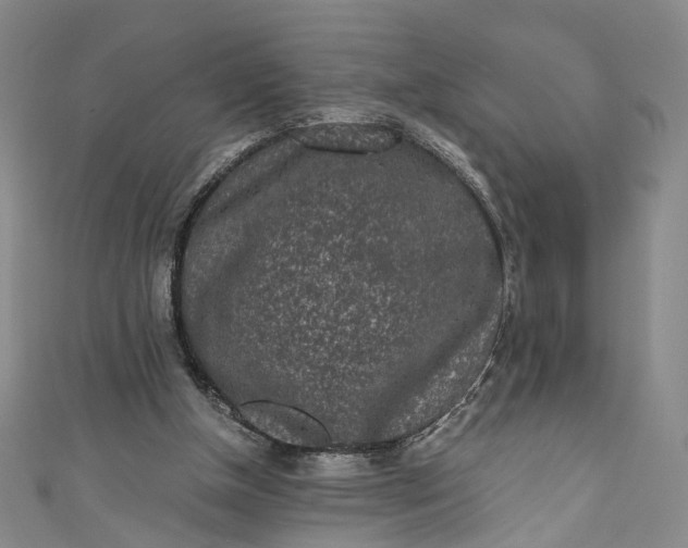 X0000110870154200907021443