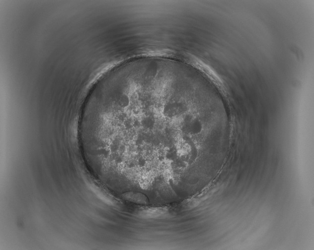 X0000110870155200907021443