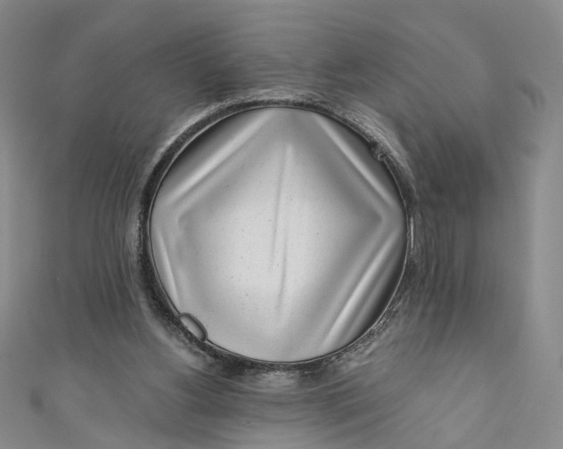 X0000110870156200907021443