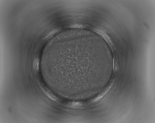 X0000110870157200907021443