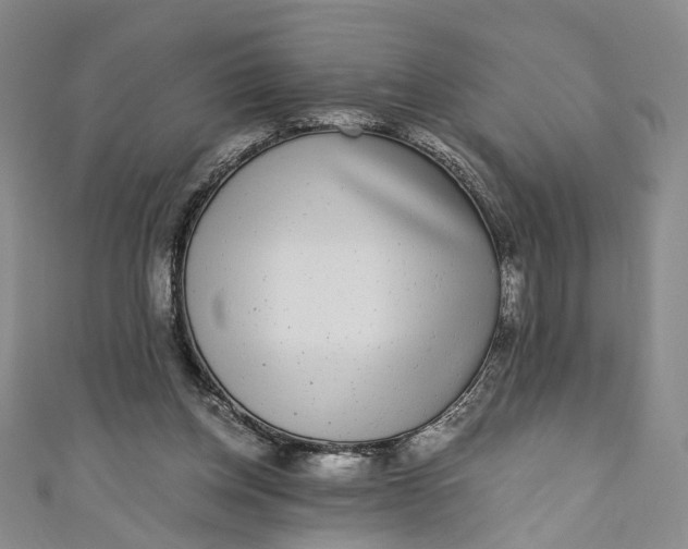 X0000110870158200907021444