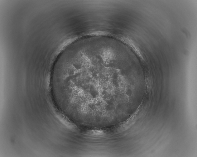 X0000110870159200907021444