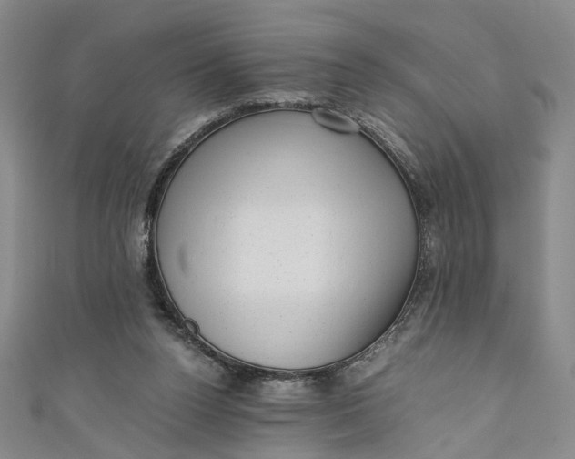 X0000110870160200907021444