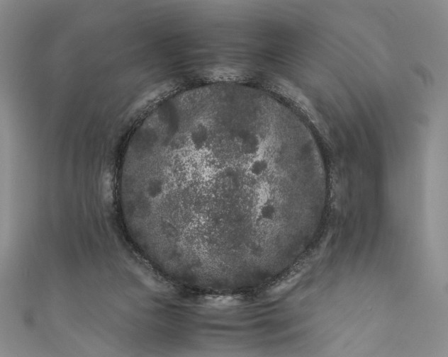 X0000110870161200907021444