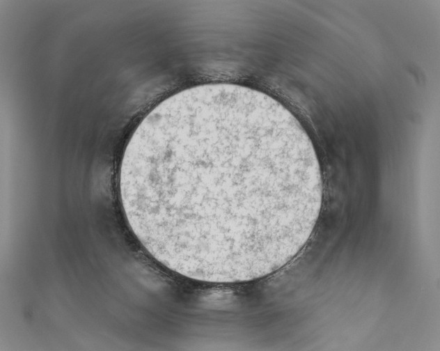 X0000110870162200907021444