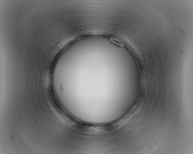 X0000110870164200907021444