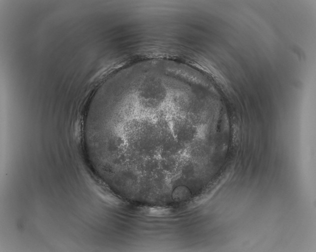 X0000110870165200907021444