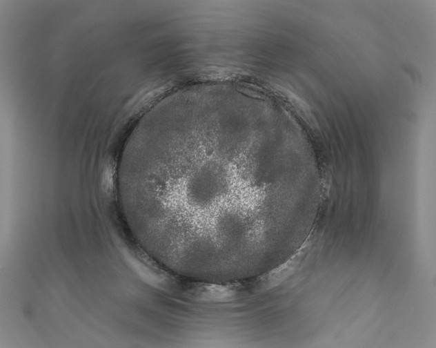 X0000110870166200907021444