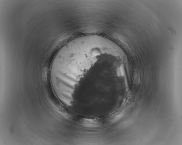 X0000110870167200907021444