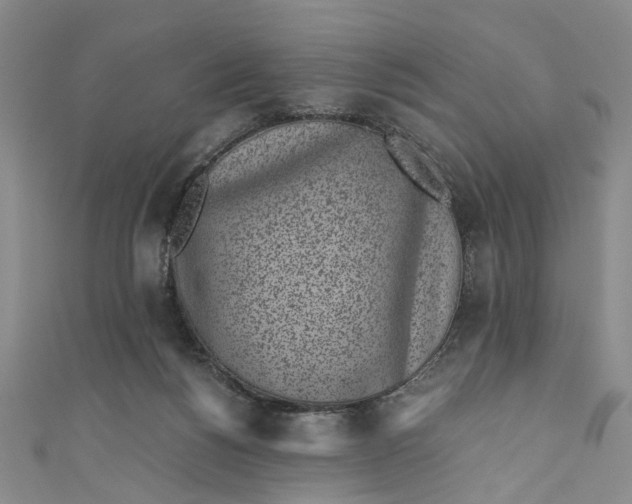 X0000110870168200907021444