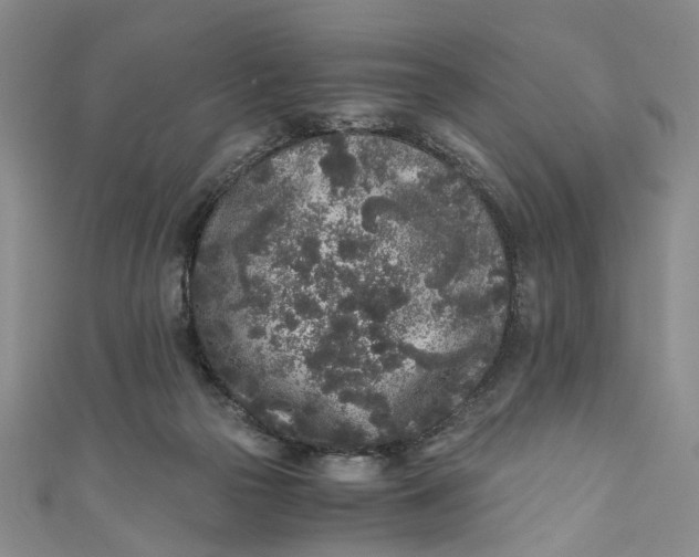 X0000110870169200907021444