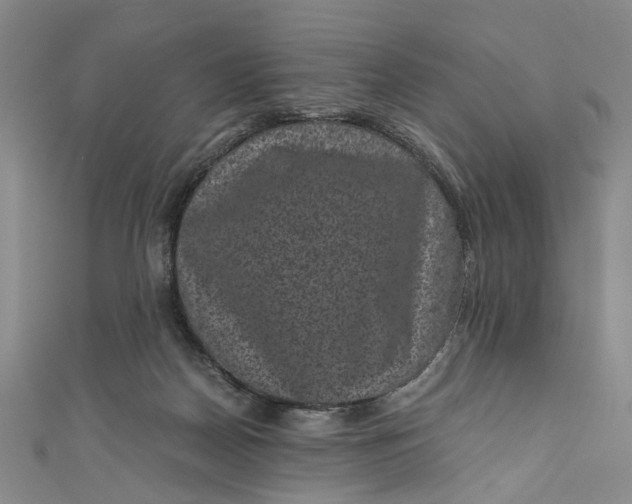 X0000110870170200907021444