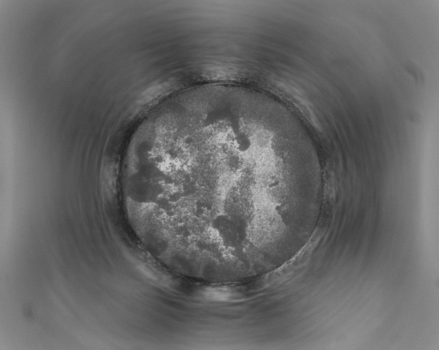 X0000110870171200907021444