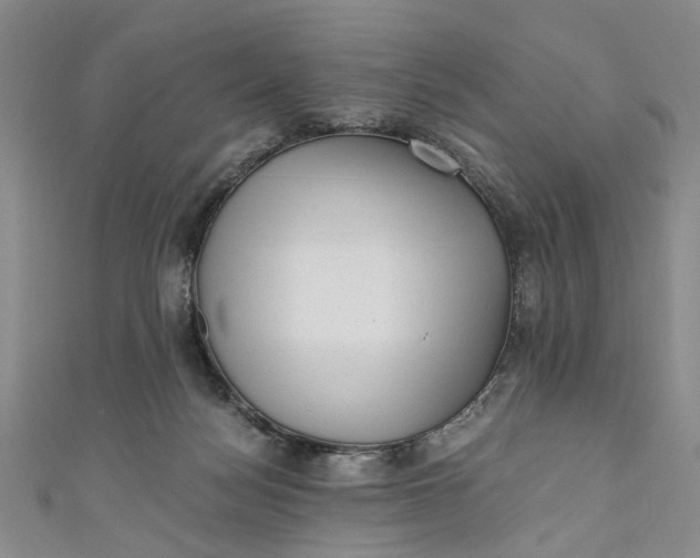 X0000110870172200907021444