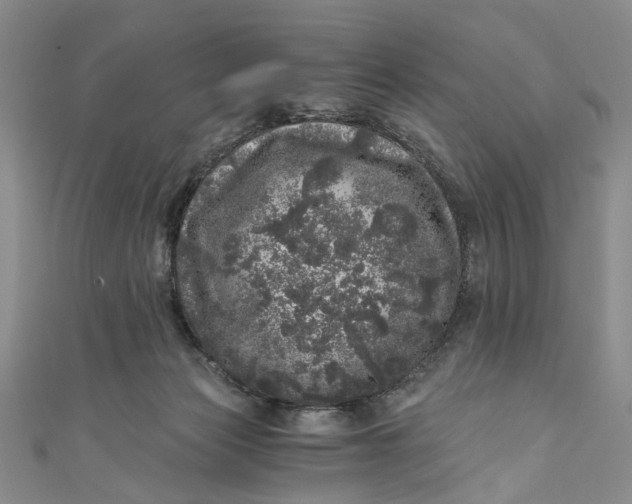 X0000110870173200907021444