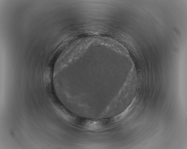 X0000110870174200907021444