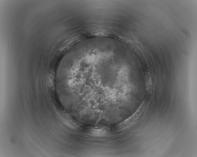 X0000110870175200907021444