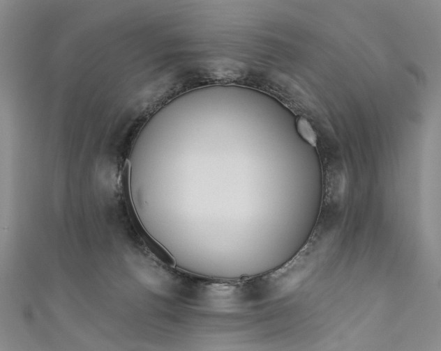 X0000110870176200907021444