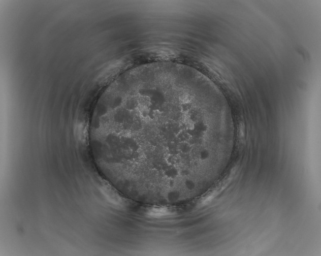 X0000110870177200907021444