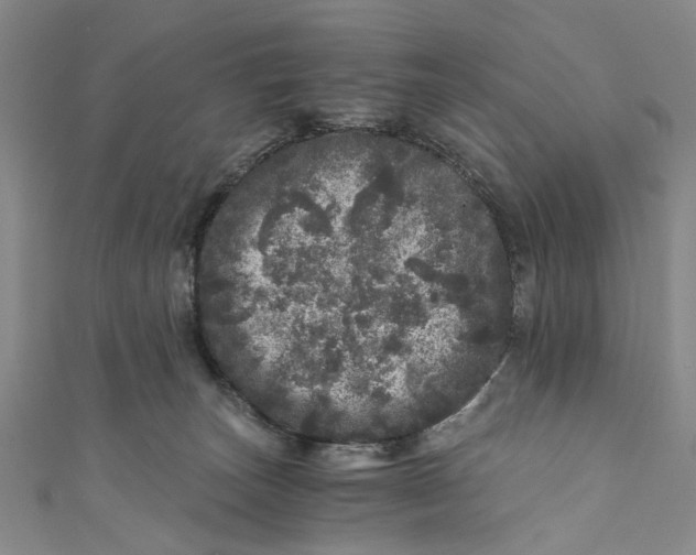 X0000110870179200907021444