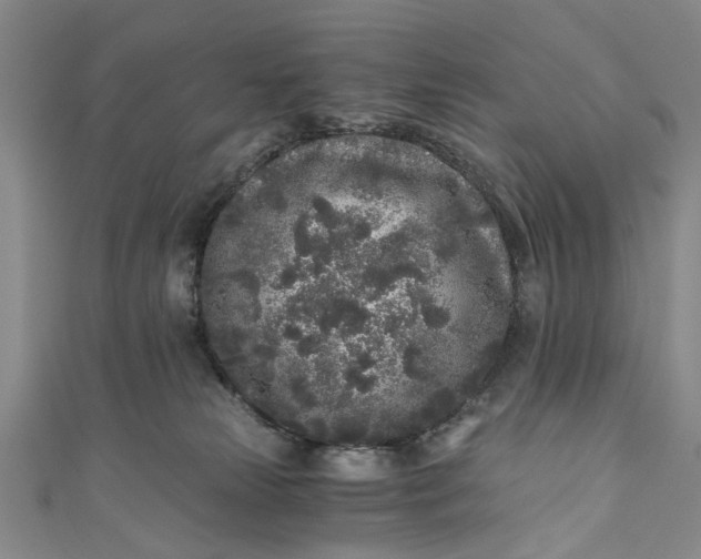 X0000110870181200907021444