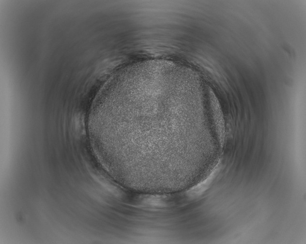 X0000110870182200907021444