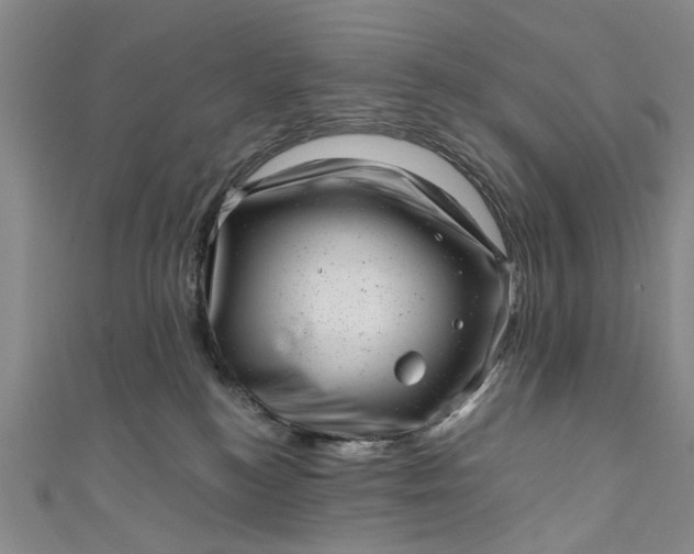 X0000110870184200907021444