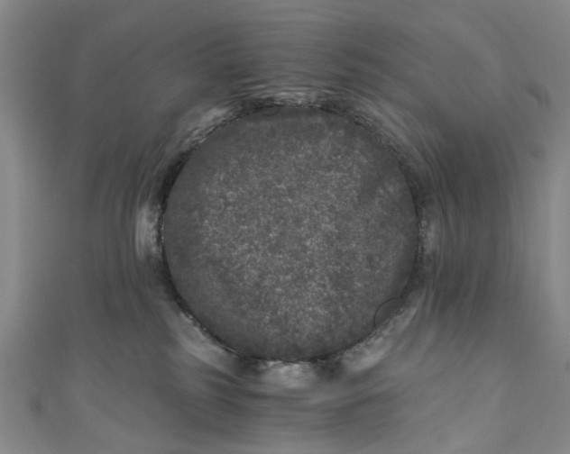 X0000110870185200907021444