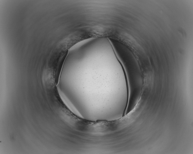 X0000110870186200907021444