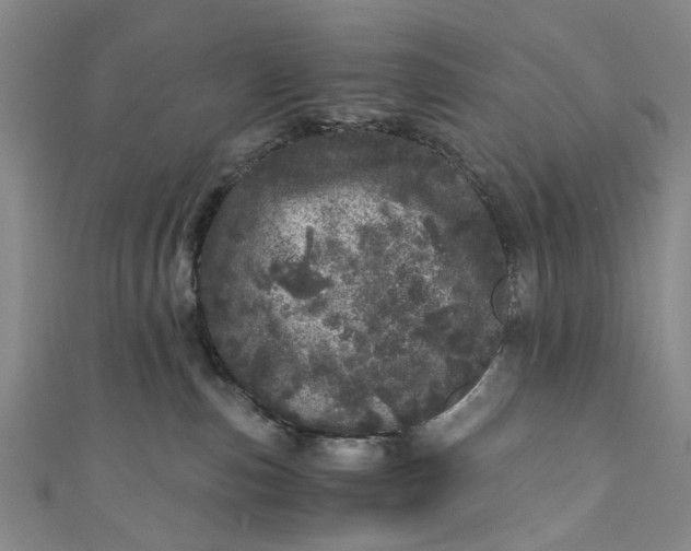 X0000110870187200907021444