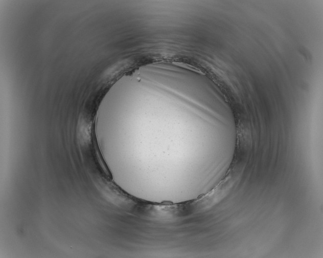 X0000110870188200907021444