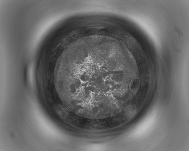 X0000110870189200907021444