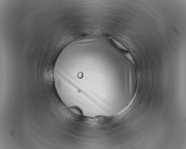 X0000110870190200907021444