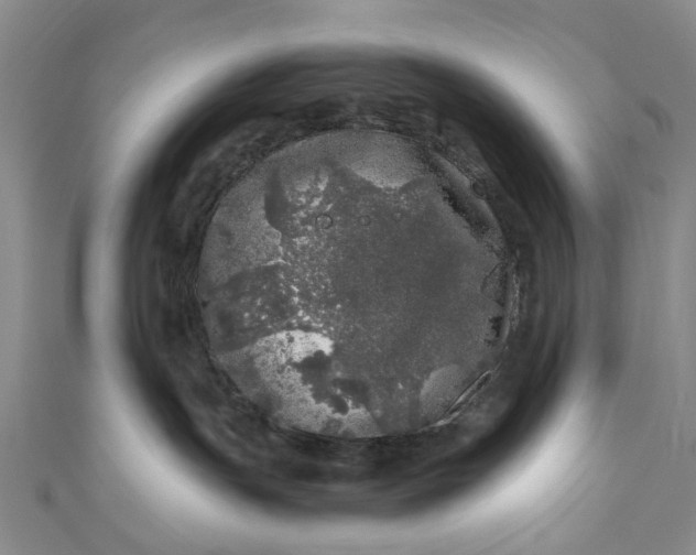 X0000110870191200907021444