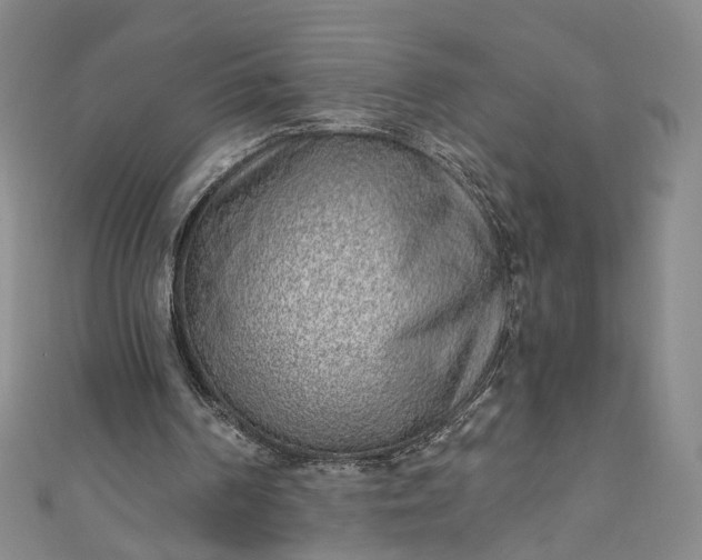 X0000110870194200907021443