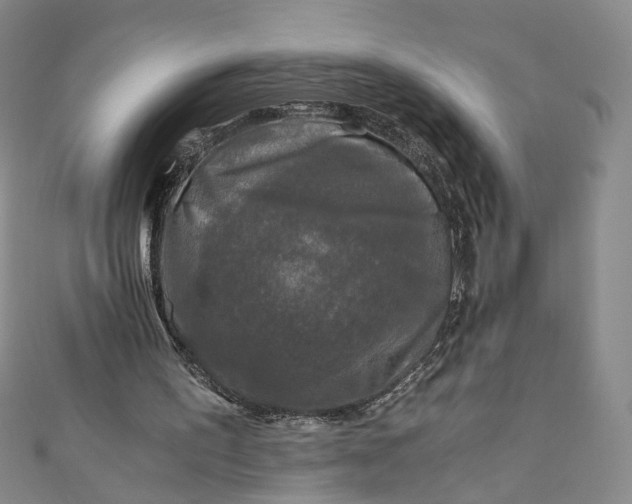 X0000110870195200907021443