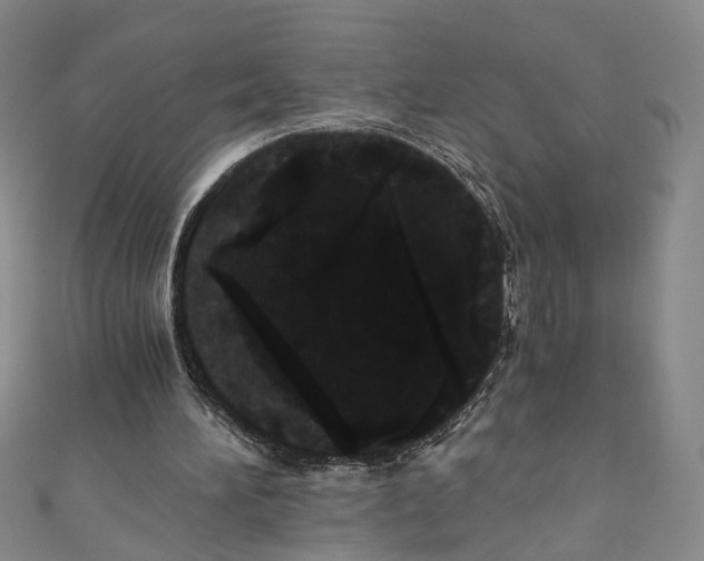 X0000110870196200907021443