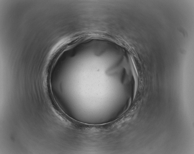 X0000110870197200907021443