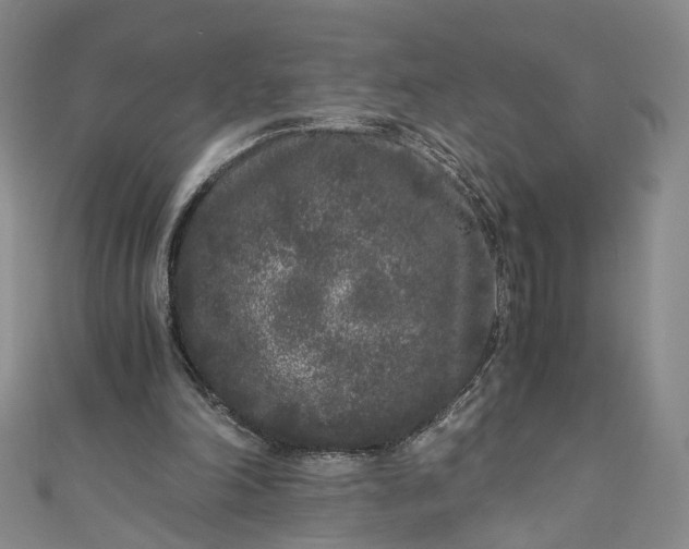 X0000110870198200907021443