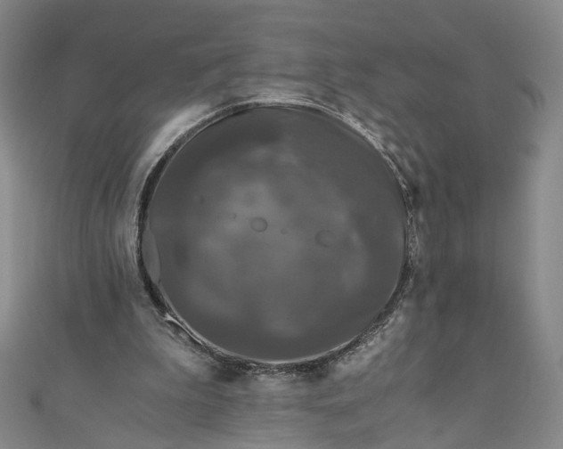 X0000110870199200907021443