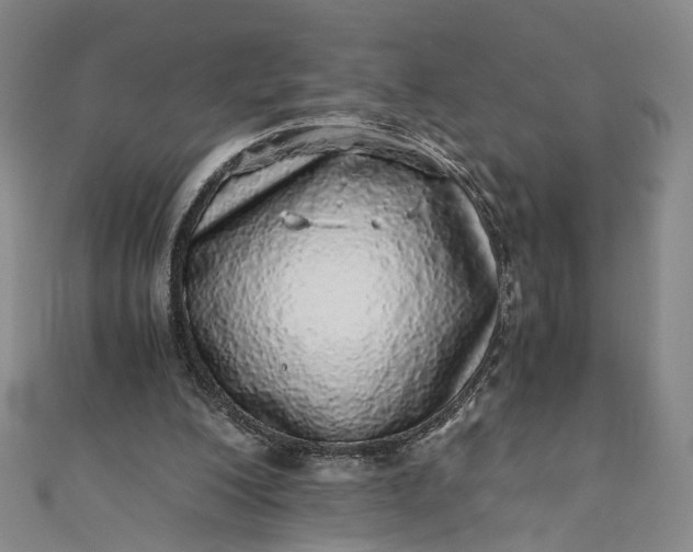 X0000110870200200907021443