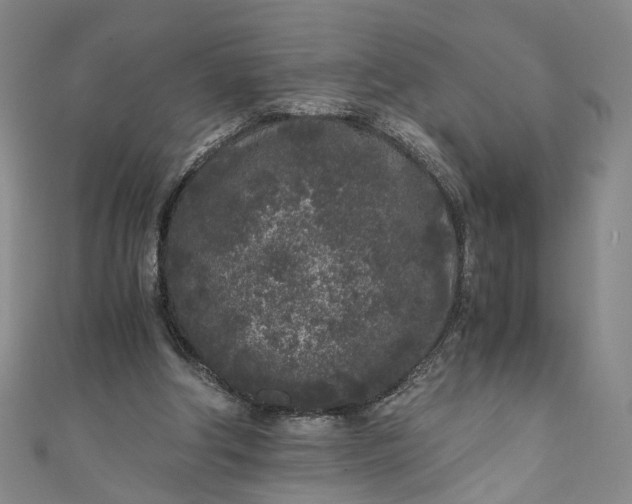 X0000110870202200907021443