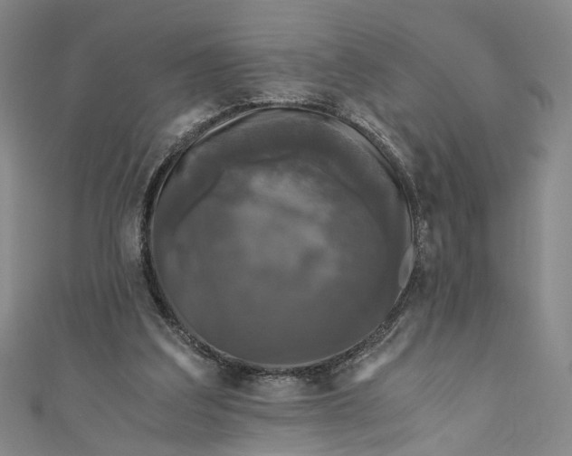 X0000110870203200907021443