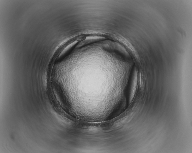 X0000110870204200907021443