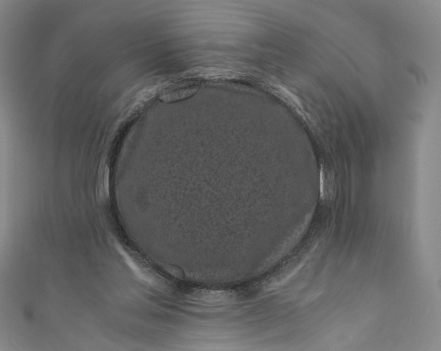 X0000110870205200907021443