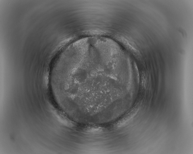 X0000110870206200907021443